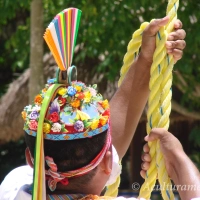 The Dance of the Birdmen – The History and Legend behind the Voladores de Papantla