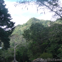 Our Visit to the Caguana Indigenous Ceremonial Park